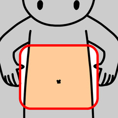 <p>stomach</p>