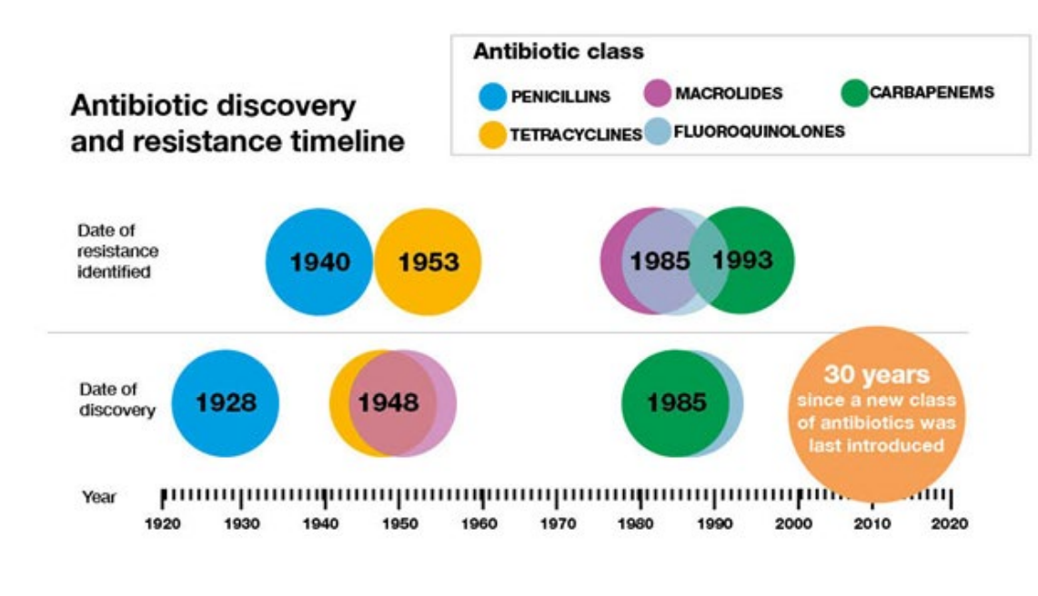 <p>DIAGRAM ON SLIDE 27</p>