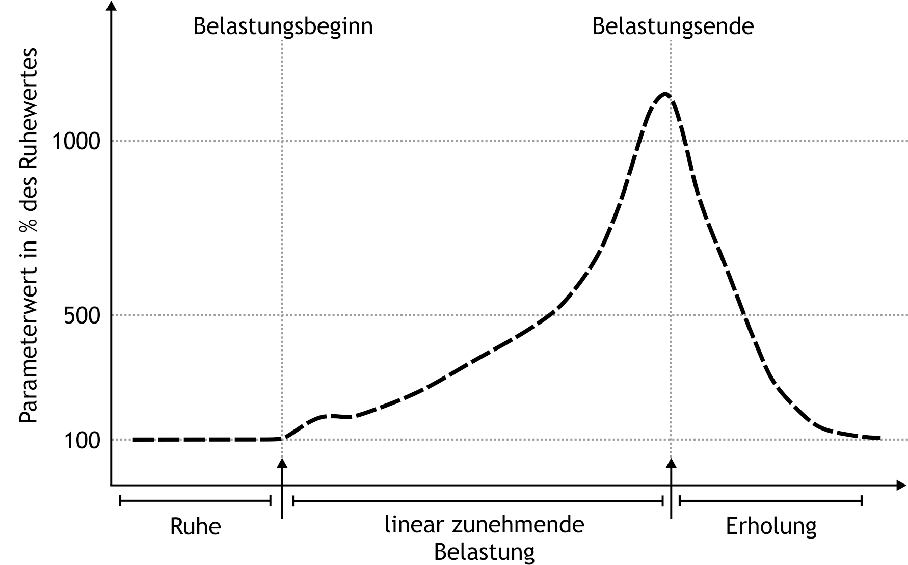 <p>49. In an untrained 30-year-old woman (65 kg), a bicycle ergometer stress test is performed. Cardiopulmonary function values are first measured at rest, then the workload is gradually increased to the subject’s maximum performance (160 W). Heart rate, respiratory rate, cardiac output, respiratory minute volume, and oxygen uptake are recorded. The curve shows the time course of one of these parameters, with measurements given relative to the resting phase.</p><p>Which parameter most likely follows the time course of the curve?</p><p>A. Respiratory rate</p><p>B. Respiratory minute volume</p><p>C. Heart rate</p><p>D. Cardiac output</p><p>E. Oxygen uptake</p>