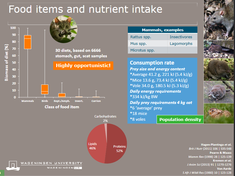 <p>Rattus spp, mus spp. microtus spp, insectivores, lagomorphs</p><p>Are highly opportunistic</p>