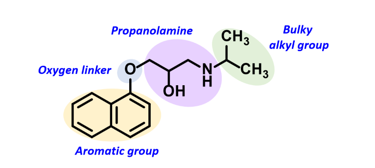 <p>Aromatic group</p><p>Oxygen linker</p><p>Propanolamine</p><p>Bulky alkyl group</p>