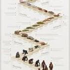 <p>It is a more influential form of adaptation. So it still happens through natural selection, except in most cases it changes the organism even more, nd they are often renamed, nd it often takes generations for this to happen.</p>