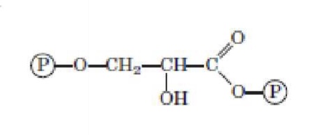 <p>What structure is this?</p>
