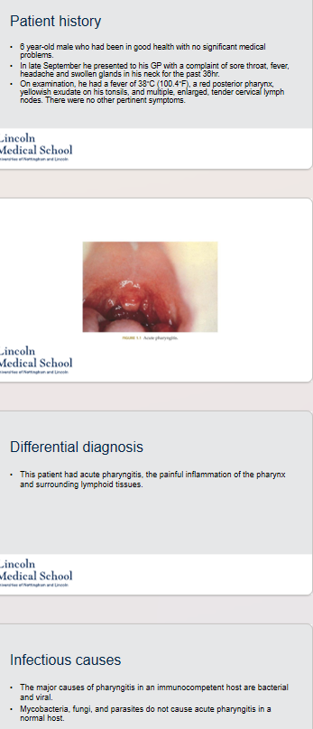 <p><mark data-color="yellow">Patient history</mark></p><p>6 year-old male who had been in good health with no significant medical problems.</p><p>In late September he presented to his GP with a complaint of sore throat, fever, headache and swollen glands in his neck for the past 36hr.</p><p>On examination, he had a fever of 38°C (100.4°F), a red posterior pharynx, yellowish exudate on his tonsils, and multiple, enlarged, tender cervical lymph nodes. There were no other pertinent symptoms.</p><ol><li><p>What was the differential diagnosis for this patient?</p></li><li><p>What are the major infectious causes of pharyngitis in an immunocompetent host?</p></li><li><p>What are some bacterial causes of pharyngitis?</p></li><li><p>What are some viral causes of pharyngitis?</p></li><li><p>What tests were performed to diagnose the patient&apos;s condition?</p></li><li><p>What is the treatment for Streptococcus pyogenes?</p></li><li><p>What is the prevention for Streptococcus pyogenes?</p></li></ol>