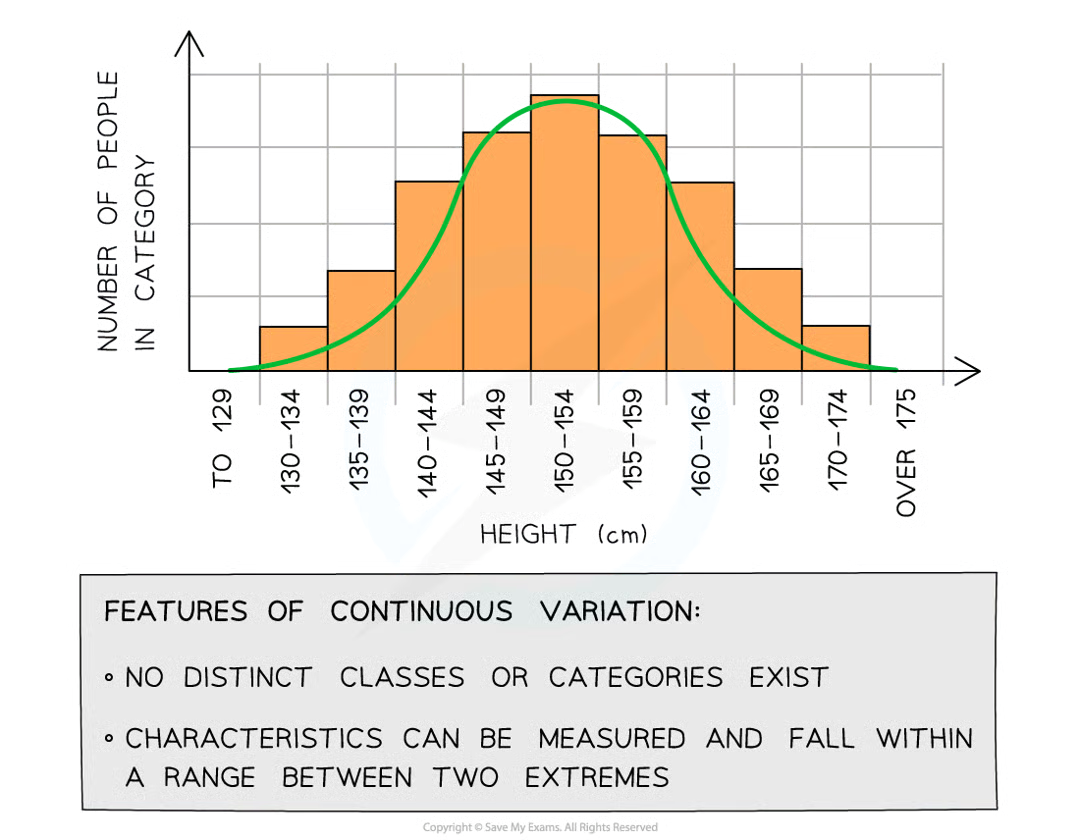 <p>no, a range of values exists between 2 extremes within which the phenotype will fall (e.g. mass/height of human). the lack of categories and presence of range of values can be used to identify continuous variation when presented in table/graph</p>