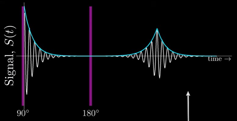 <p>delivering the 180 degree pulse after 90 degree pulse makes protons rephase with each other, then begin process of dephasing again - net transverse magnetisation peaks again but at a lower amplitude</p><p>precession frequency/location of proton does not change</p><p>allows for true T2 contrast in tissue regardless of T2*</p><p>if we deliver 180 at time tau, in that time, spins will have dephased by a certain amount. following 180, it will take same amount of time to rephase</p><p>echo peaks decay - intrinsic T2 decay is not reversible, spins are still losing coherence due to self interactions</p><p>if 180 is delivered at time tau, echo appears at time 2tau - peak reaches T2 curve</p><p>amplitude helps to calculate T2&nbsp;</p>