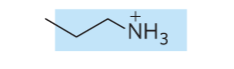 <p>what is the name of the glycerophospholipid with this head group?</p>