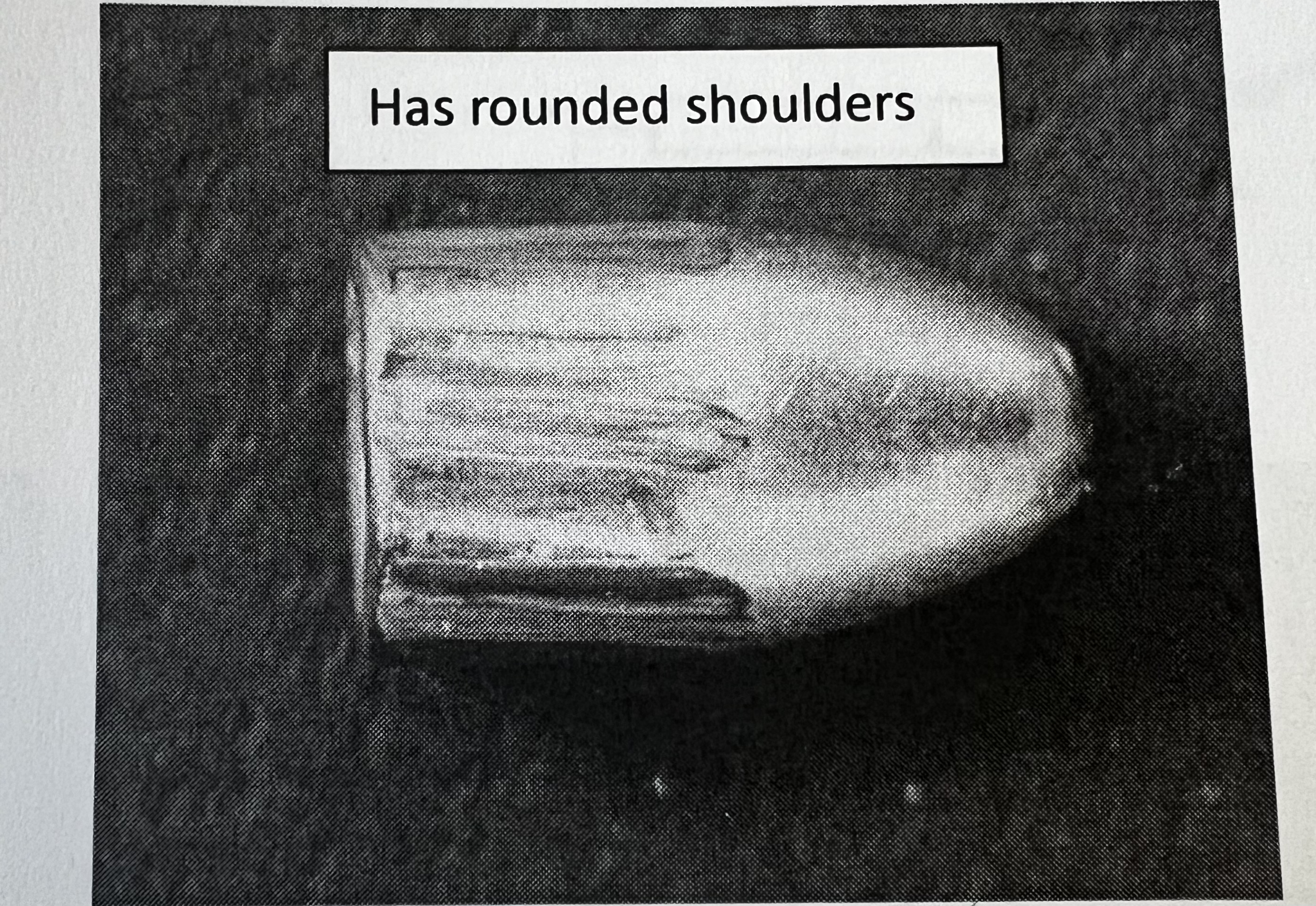 <p>Rifling in which lands and grooves have a rounded profile </p>