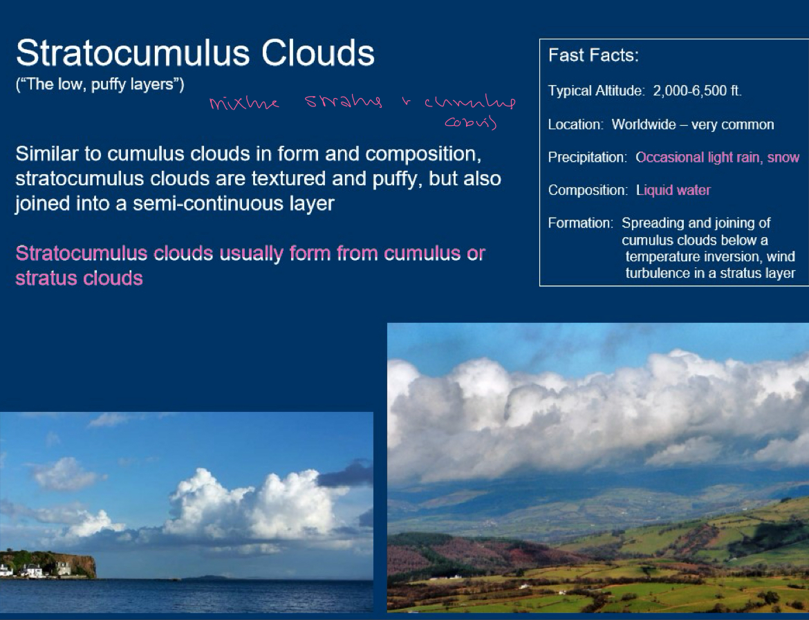<p>grey. do not bring precipitation. do not cover entire sky, bumpy. tend to come in rows and patches. good weather now but can develop? THEY ARE NOT CUMULUS OR STRATUS MERGED. they form from EITHER cumulus OR stratus clouds.</p>