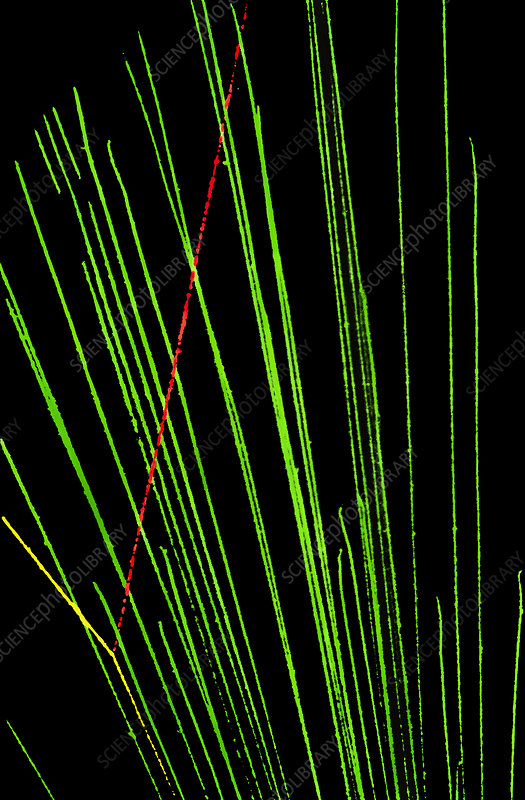 <p>visible straight tracks of the same length</p>