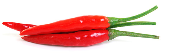 <p>고추</p>