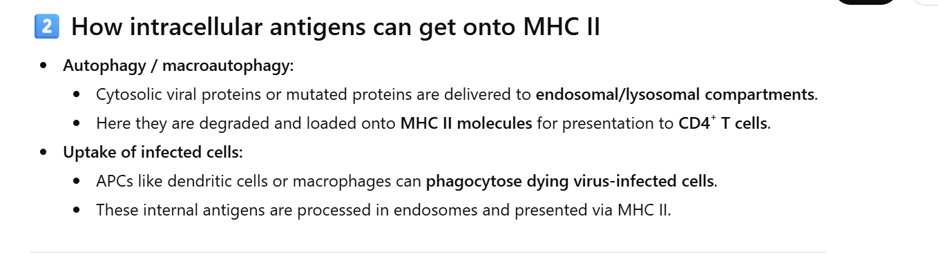<p><strong>CD8</strong> Cytotoxic T cell activation 4</p>