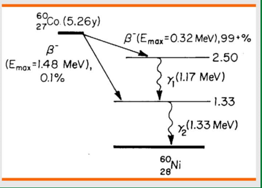 <p>Beta minus decay</p><ul><li><p>produces 1.17 MeV and 1.33 MeV gamma</p></li></ul><p></p>