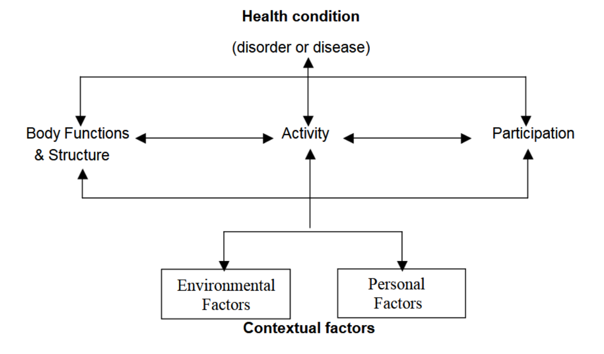 <p>biopsychosocial model that combines biological, psychological, and social elements into a single model</p><ul><li><p>disability and functions seen as outcomes of the interactions between a person’s health condition and contextual factors</p></li></ul><p></p>
