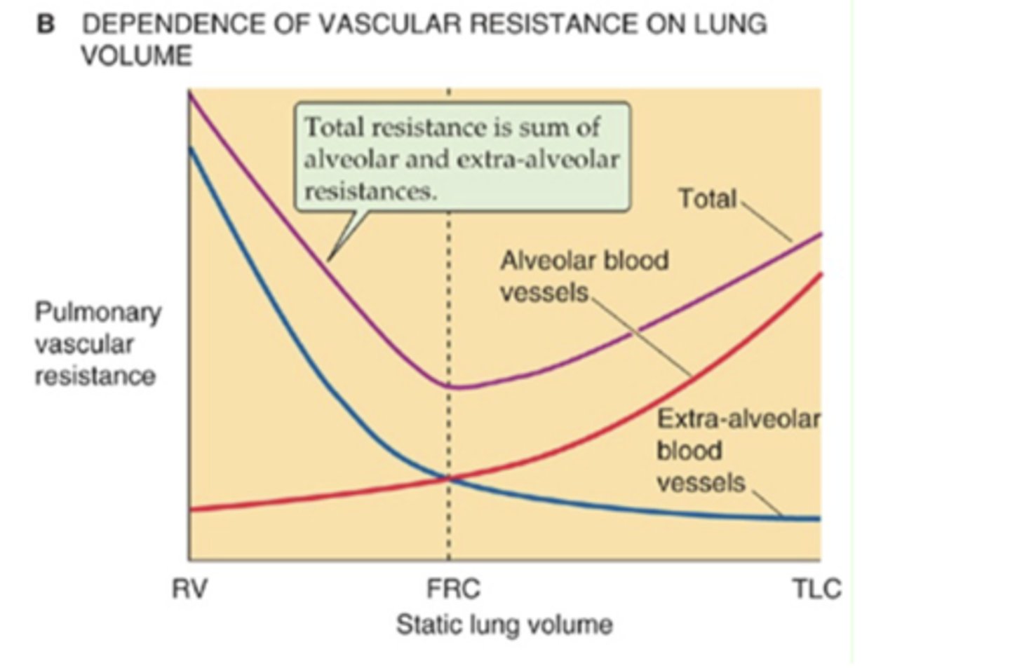 <p>sum of alveolar &amp; extra-alveolar resistances</p>