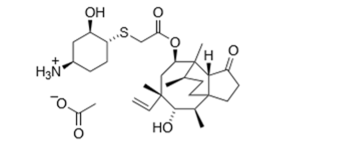 <p>Selectively binds to peptidyl transferase center of the 50S ribosomal subunit to prevent protein synthesis.</p>