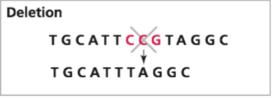<p>loss of a segment of DNA</p>