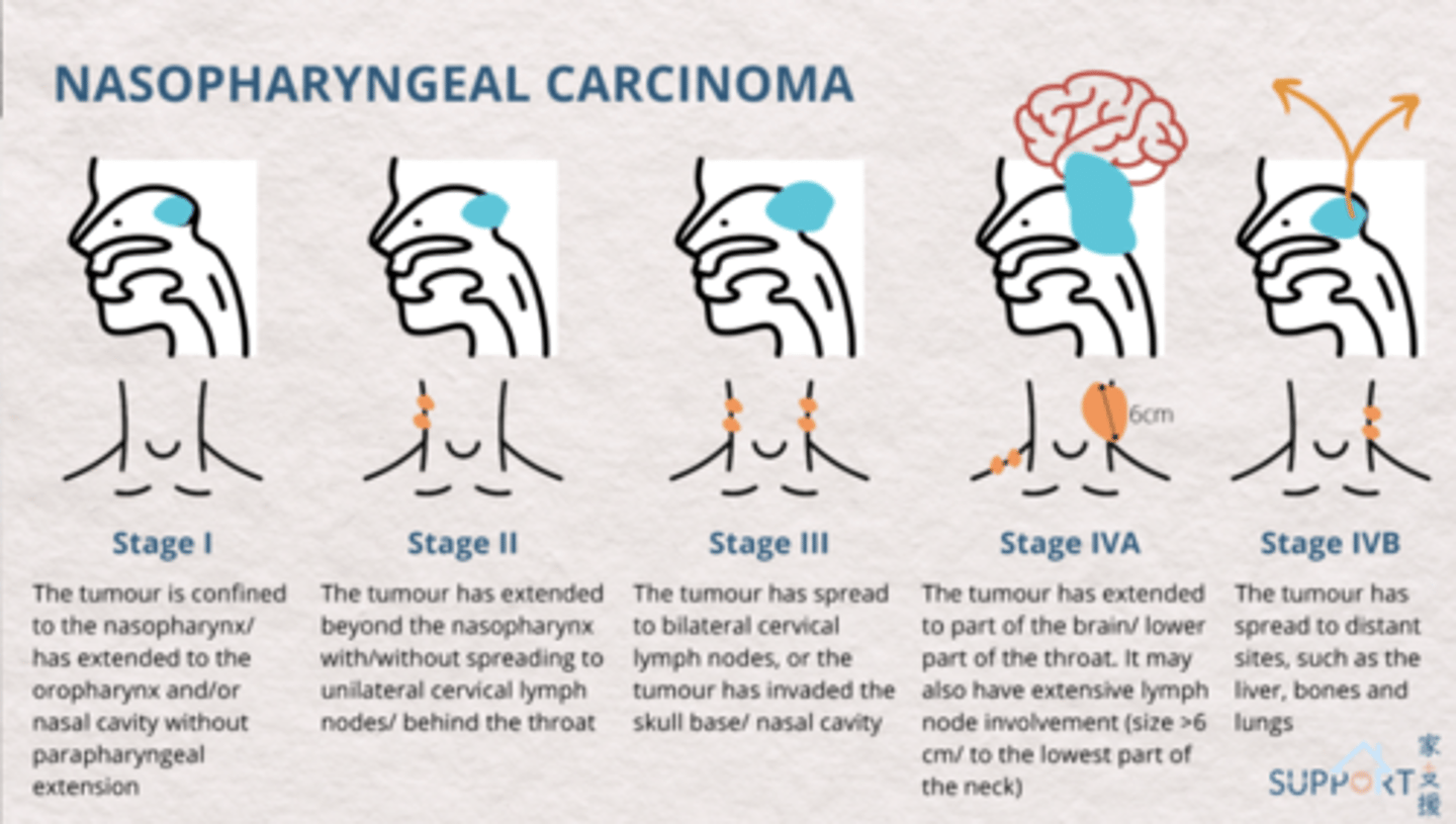 <p>stage 4A</p>