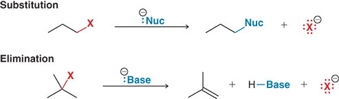 <p>A base removes a hydrogen (H) from a nearby carbon, and the halogen leaves, forming a&nbsp;π (pi bond)</p>