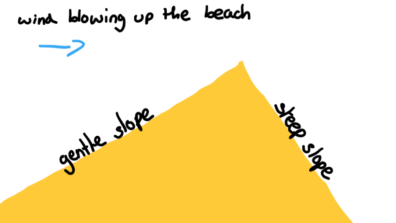 a diagram explaining why one side of the dune is steeper than the other