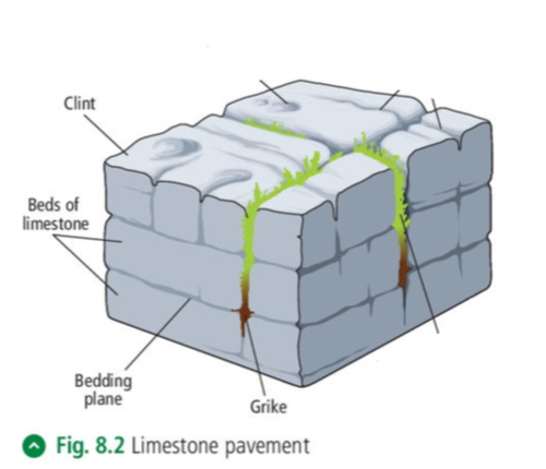 <p>Limestone pavements</p>