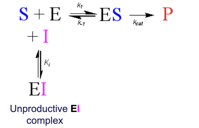 <p>It adds to the beginning with E and S and is in equilibrium. It competes with the formation of ES.</p>