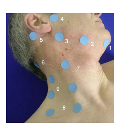 <p>name the lymph nodes</p>