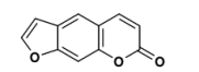 <p>A plant that is on the federal and state noxious weed list, making it unlawful to propagate, sell, or transport it. The plant contains furocoumarins in its white sap, which causes severe burns, scare, and temporary/permanent blindness when it comes in contact with skin or eyes. </p>
