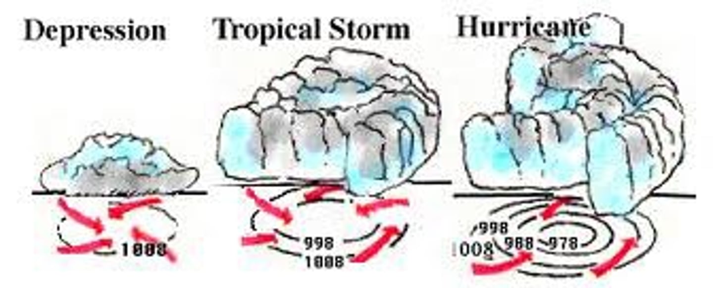 <p>A storm near the equator with winds moving in a circle at speeds of up to 38 miles per hour.</p>