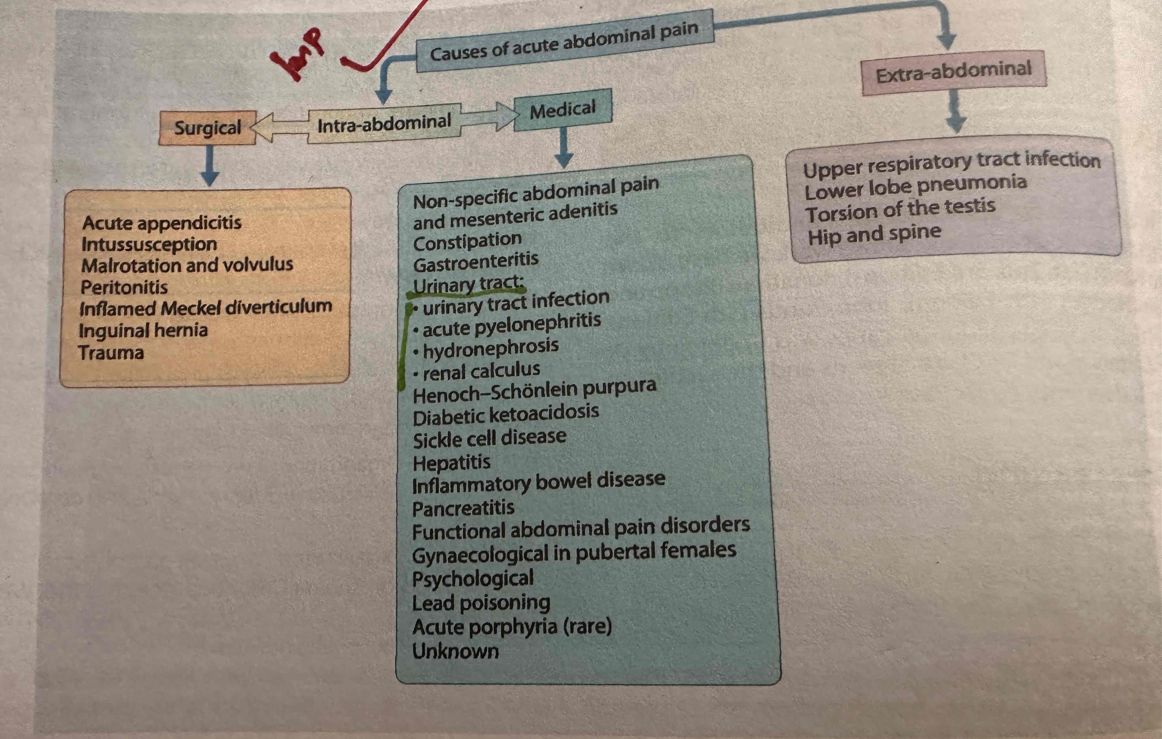 <p>Intra abdominal - extra abdominal</p><p>Intra abdominal : surgical -medical</p><p><strong>Surgical cause</strong> :</p><p>Acute appendicitis</p><p>Intussusception</p><p>Martin and calculus</p><p>Peritonitis</p><p>Inflamed Meckel diverticulum</p><p>Inguinal hernia</p><p>Trauma</p><p><strong>Medical cause :</strong></p><p></p>