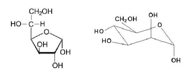 <p>sugar molcule with a (very reactive) free aldehyde or ketone group act as a reducing agent by giving e- to another molecule</p><p>to identify: 1) identify anomeric carbon (to right of ring O) 2) does it have a free OH group?</p>