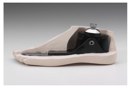 <p>-has ankle jt w/ DF &amp; PF controlled by interchangeable bumpers</p><p>-better for transfemoral</p><p>-“works like a seesaw”</p>