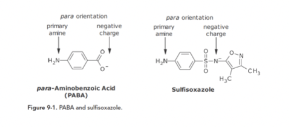 <p>Sulfonamide Anti-metabolite Variation of FG SAR</p>