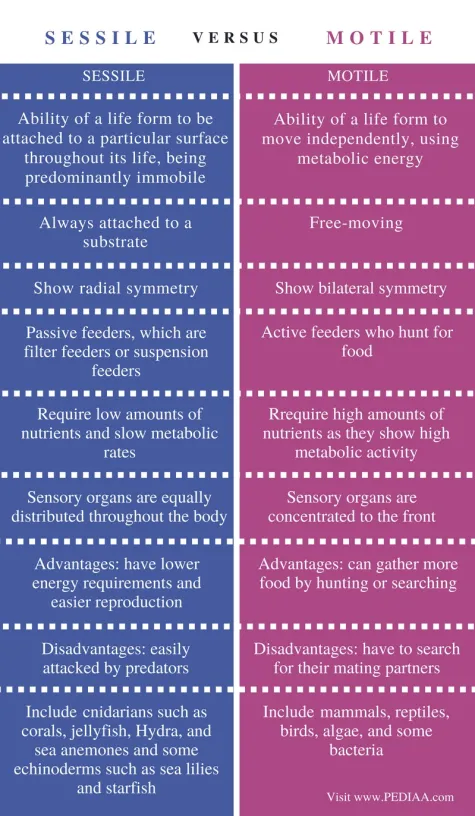 <p>Both motile and sessile species can move their bodies. </p><p><mark data-color="blue">Motile</mark> species have adaptations allowing <span style="color: blue">movement (locomotion) from one place to another</span> in their habitat. </p><p><mark data-color="green">Sessile</mark> species <u><span style="color: green">cannot</span></u><span style="color: green"> move from place to place, but they can alter (move) their body form</span> in response to environmental stimuli. </p>