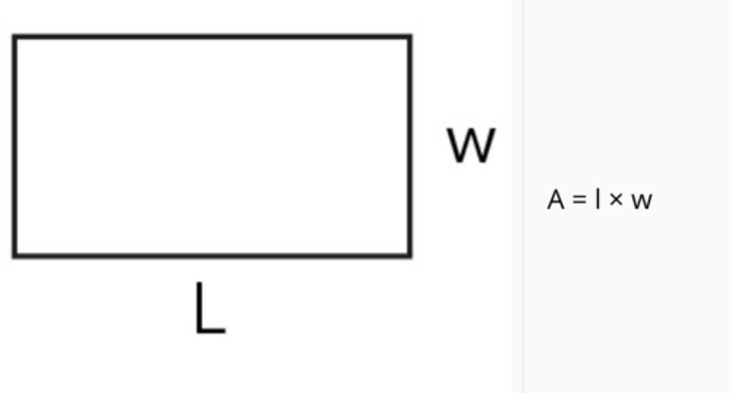 <p>P = 2l + 2w</p><p>A = l • w</p>