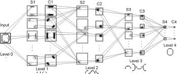 <p>inspired by mammalian visual system by fukushima (1979)</p><p>focused on: pattern recognition</p><p>first convolutional neural network</p>
