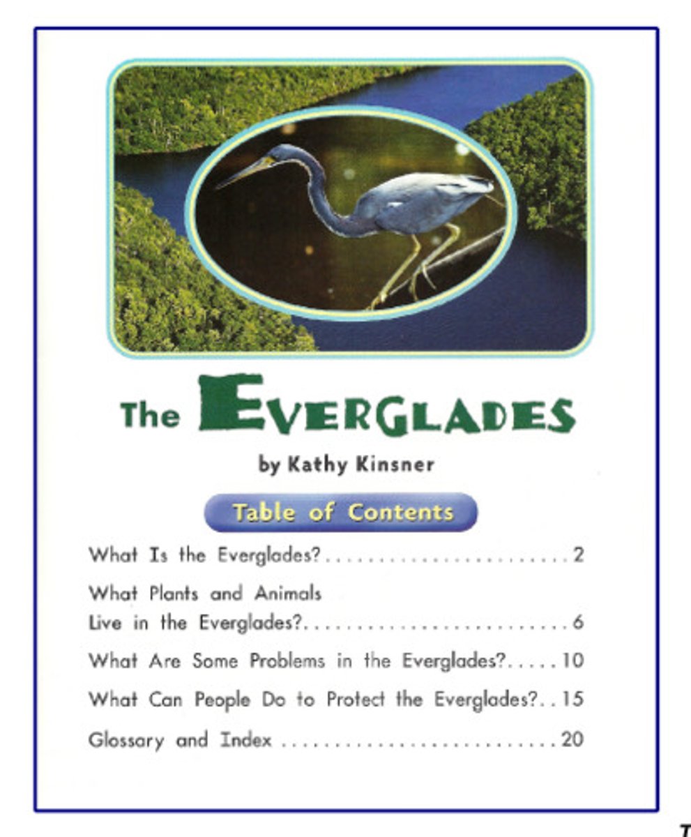 <p>n sự giới thiệu She gave a recommendation. = advice , proposal , suggestion</p>