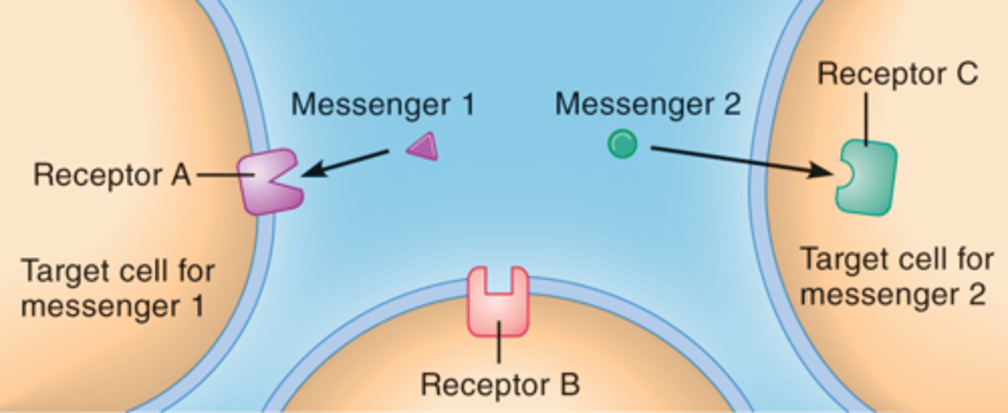 <p>Receptors are specific to a given ligand or ligands</p>