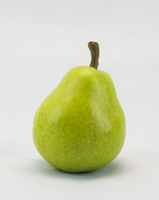 <p><span>a </span>sweet<span> </span>fruit<span>, usually with a </span>green<span> </span>skin<span> and a lot of </span>juice<span>, that has a round </span>base<span> and is </span>slightly<span> </span>pointed<span> towards the </span>stem</p>