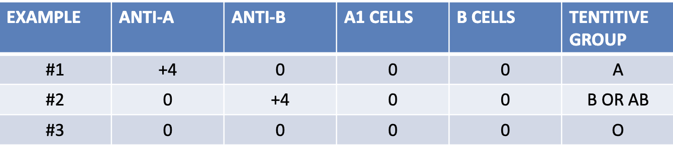 <p>which example presents a newborn patient?</p>