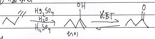 <p>terminal; product is a methyl ketone, enol is anti-mark</p>