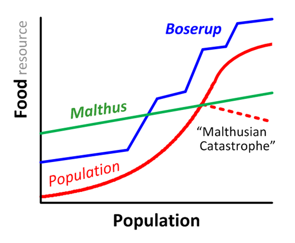<p><strong>Malthusian</strong> → believes that population growth will continue to climb until a “point of crisis” where resources can no longer keep up with the demand</p><p><strong>Boserup</strong> → believes that as population and resource demand grows, agricultural technology will develop and adapt to the population/demand change, so we never reach the “point of crisis”</p>