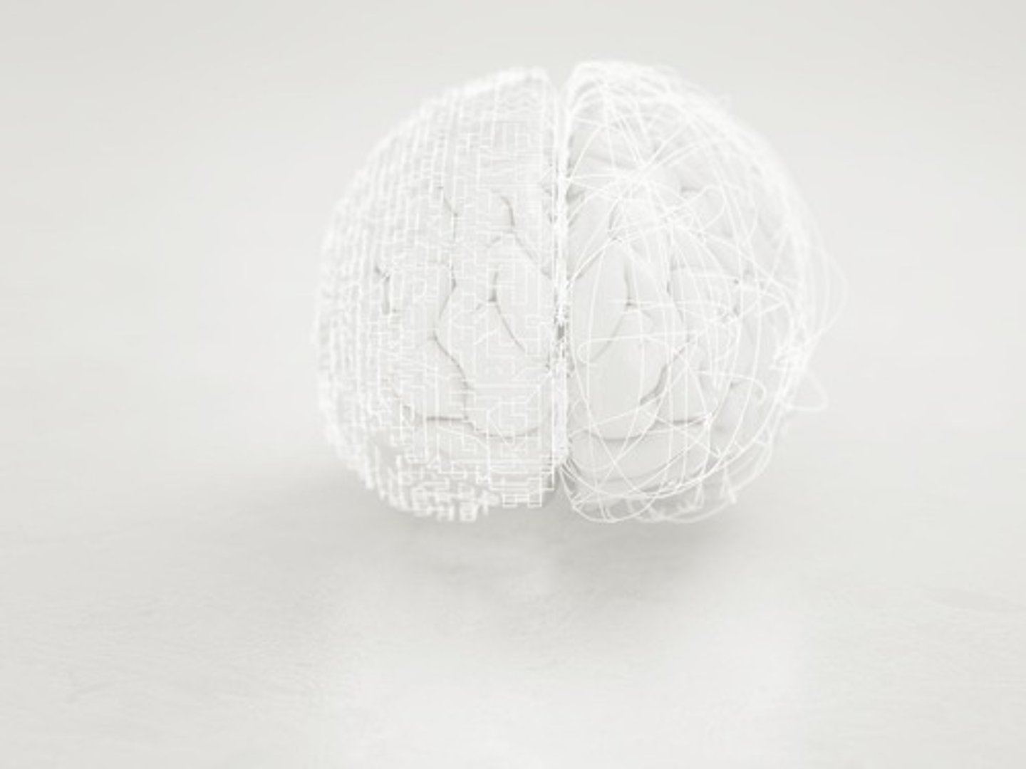 <p>Maintains arousal and wakefulness.</p>