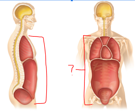 <p>(?)</p>