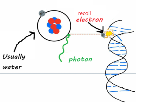 <ol><li><p>photon ionizes an atom (usually H2O), ejecting an electron</p></li><li><p>the<strong> recoil electron</strong> causes a <em>break </em>in the DNA molecule</p></li></ol><p></p>