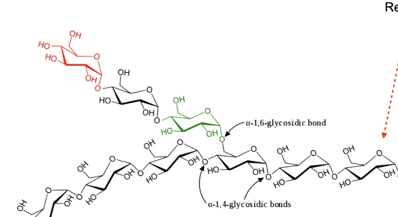 <p>where is the anomeric carbon in this image? </p>