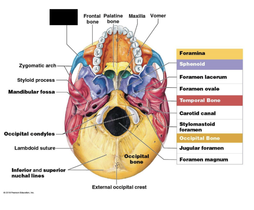 term image