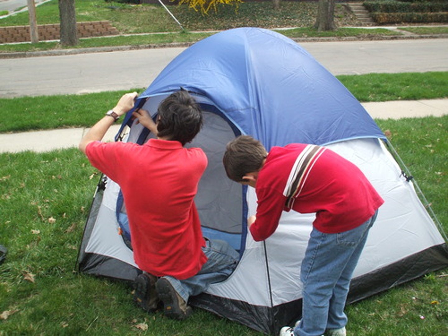 <p>to put up (tent) not armar</p>