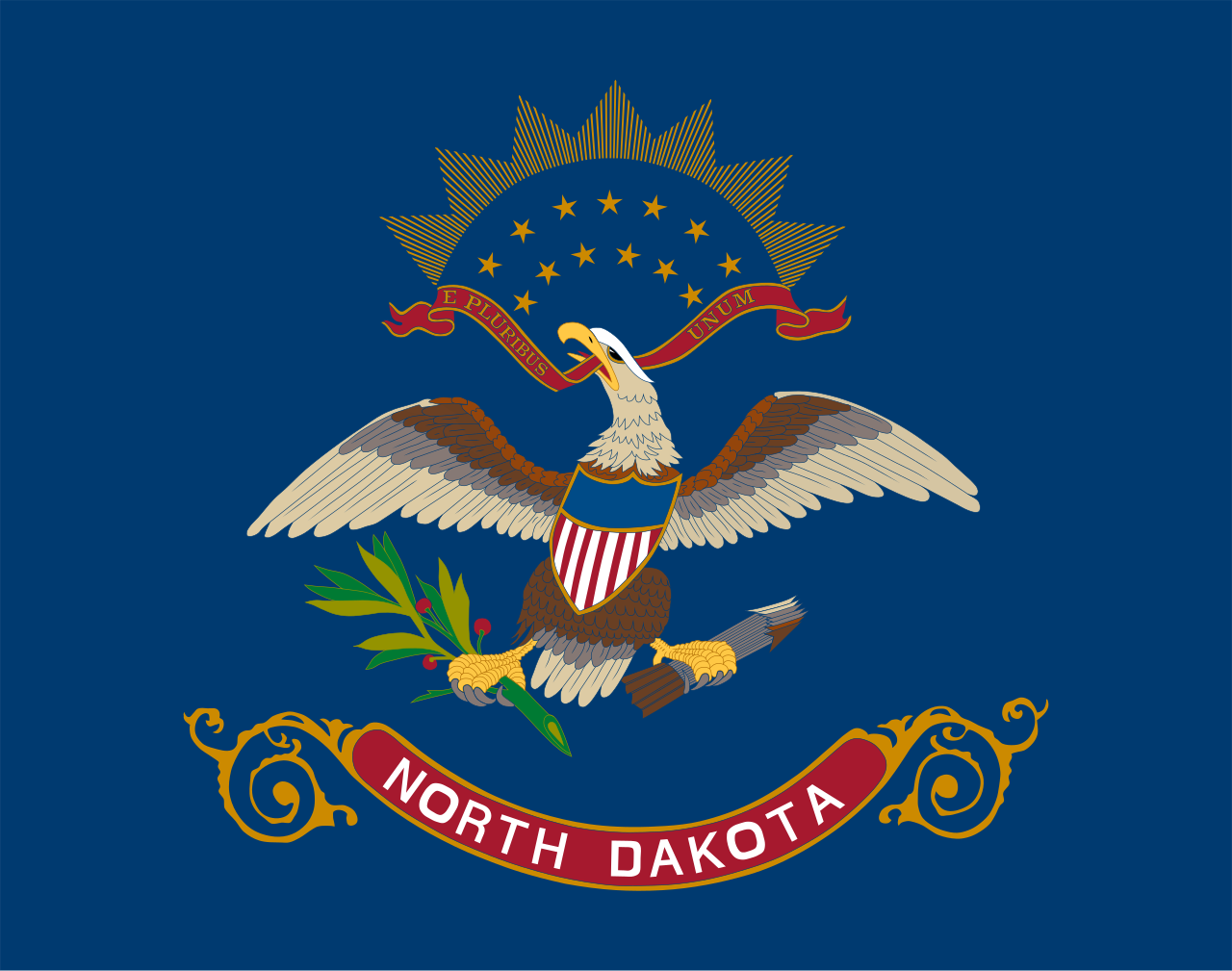 <p>Blue background with eagle. </p>