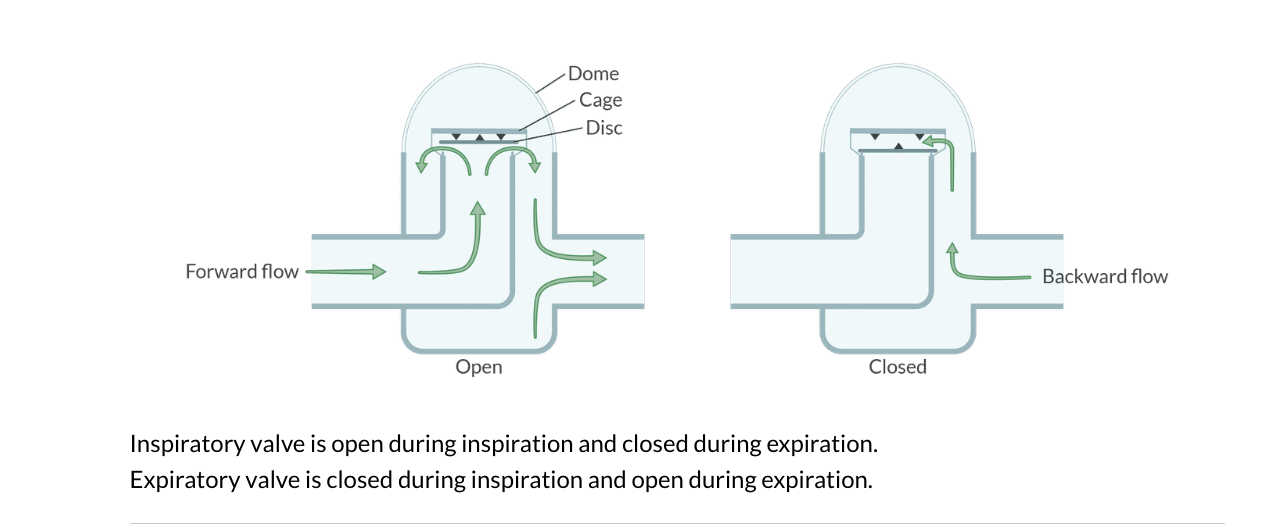 <p>Inspiratory: open during inspiration. Closed during expiration</p><p>Expiratory: Closed during inspiration. Open during expiration</p>